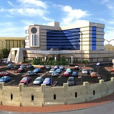 Pest Control in Armed Forces Hospitals in Taif